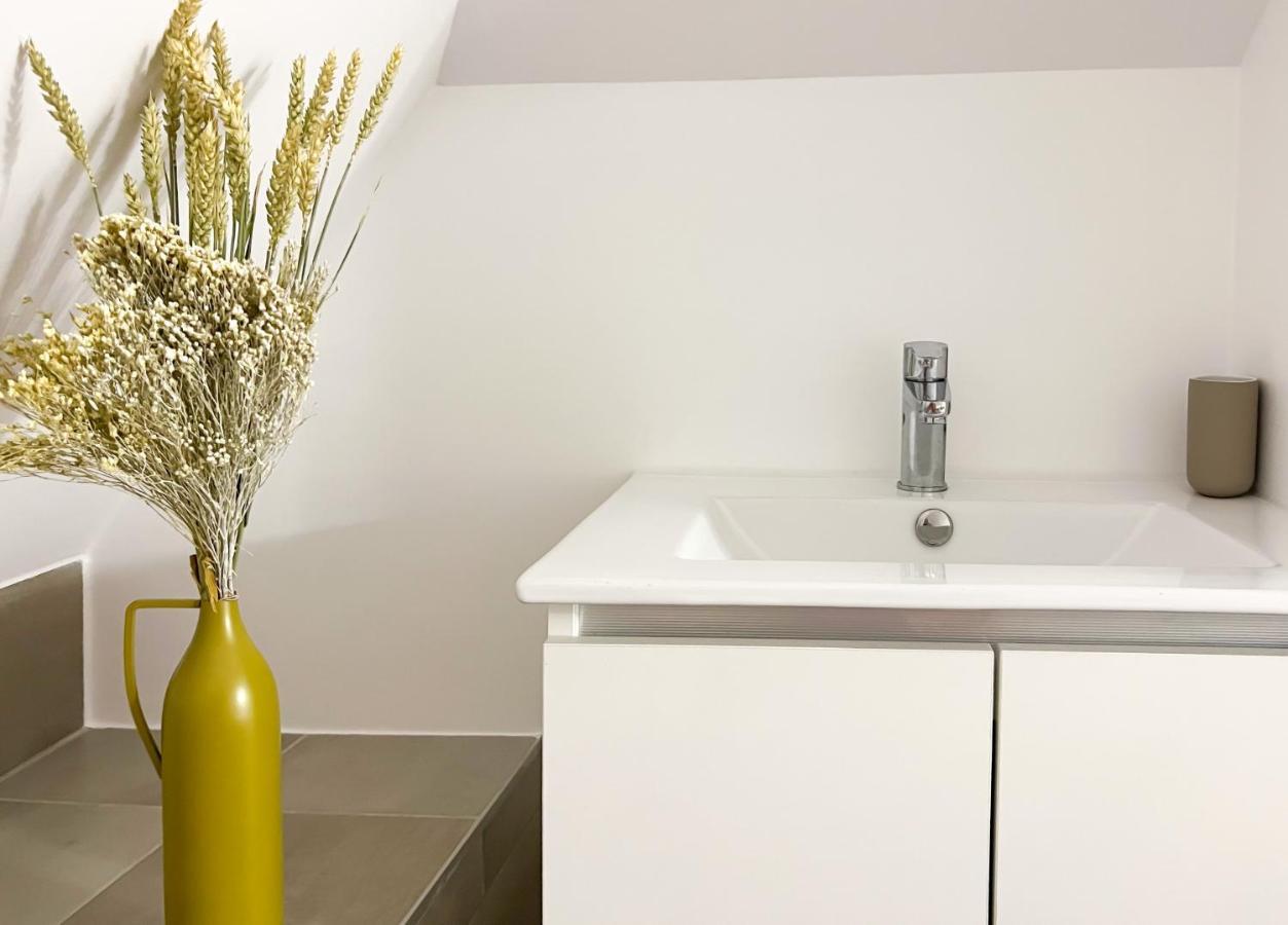 Rainbow, Rue Carnot Apartment Annecy Ngoại thất bức ảnh