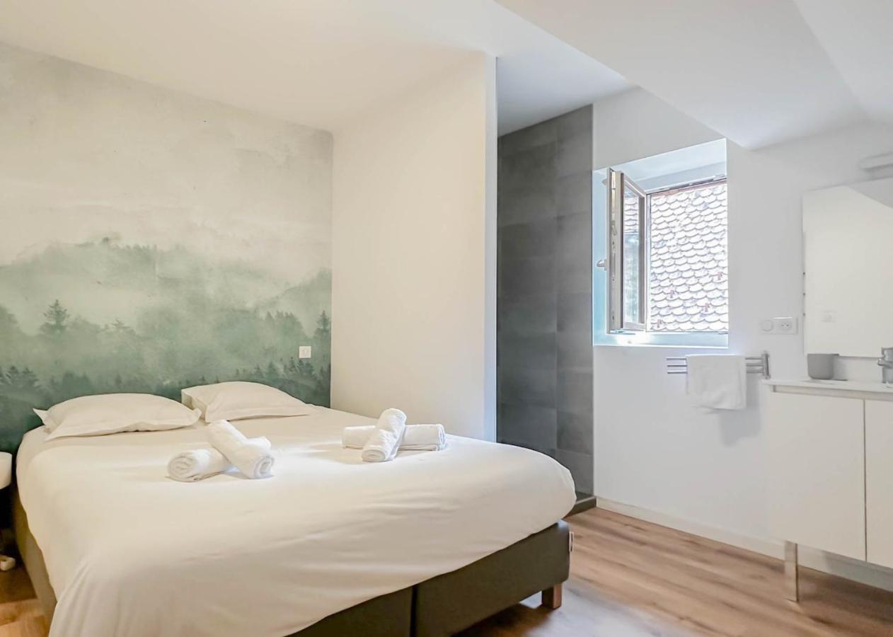 Rainbow, Rue Carnot Apartment Annecy Ngoại thất bức ảnh